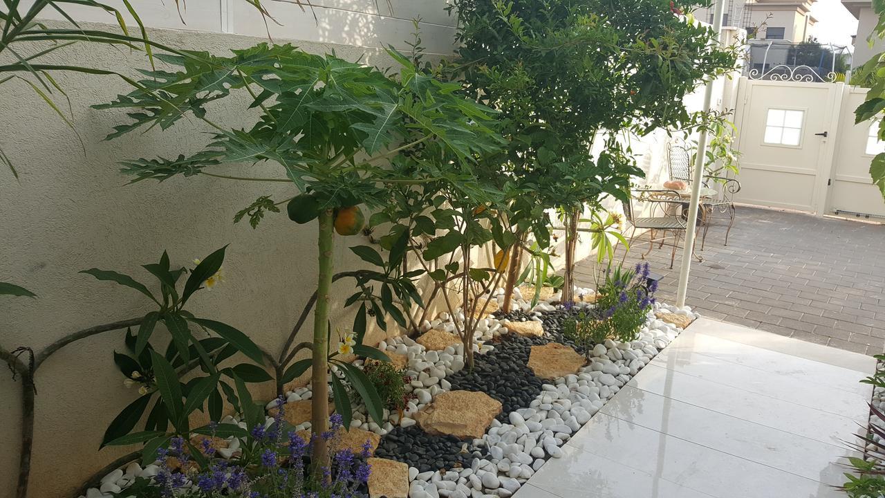 Regina'S Place Or Akiva Exterior photo
